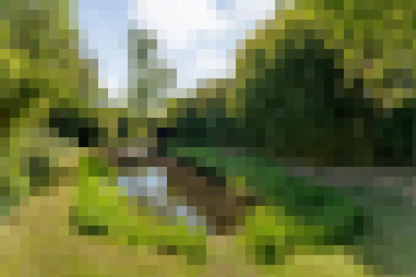 Hoofdweg 107 Coevorden thumbnail 88
