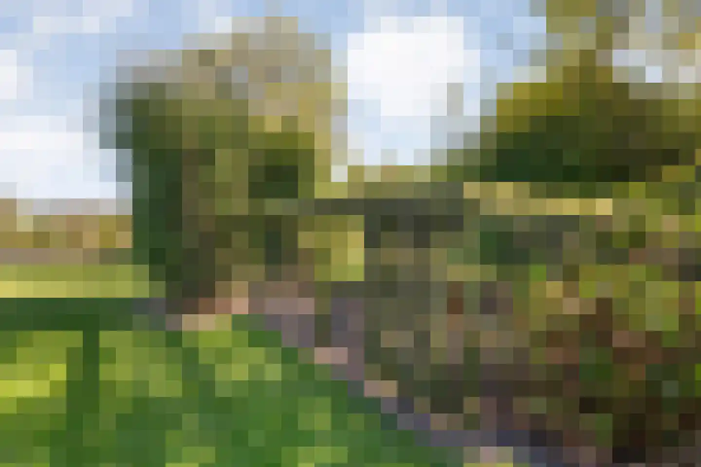 Hoofdweg 107 Coevorden thumbnail 88
