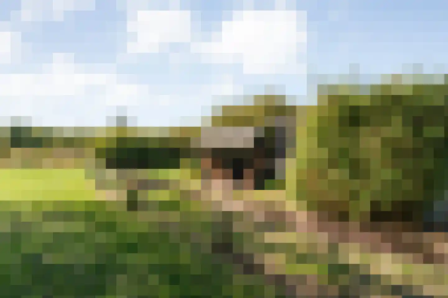 Hoofdweg 107 Coevorden thumbnail 89
