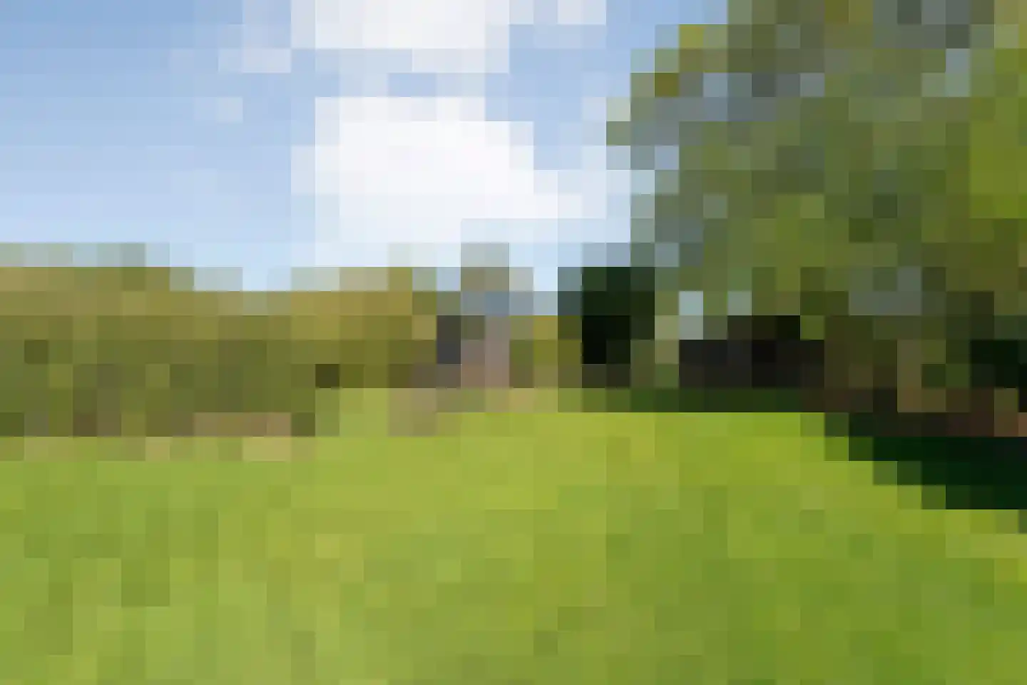 Hoofdweg 107 Coevorden thumbnail 92