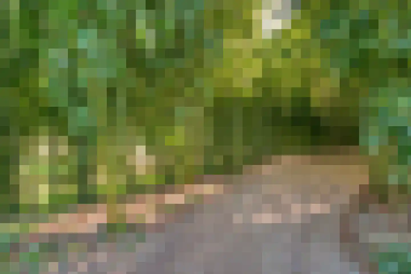 Hoofdweg 107 Coevorden thumbnail 94