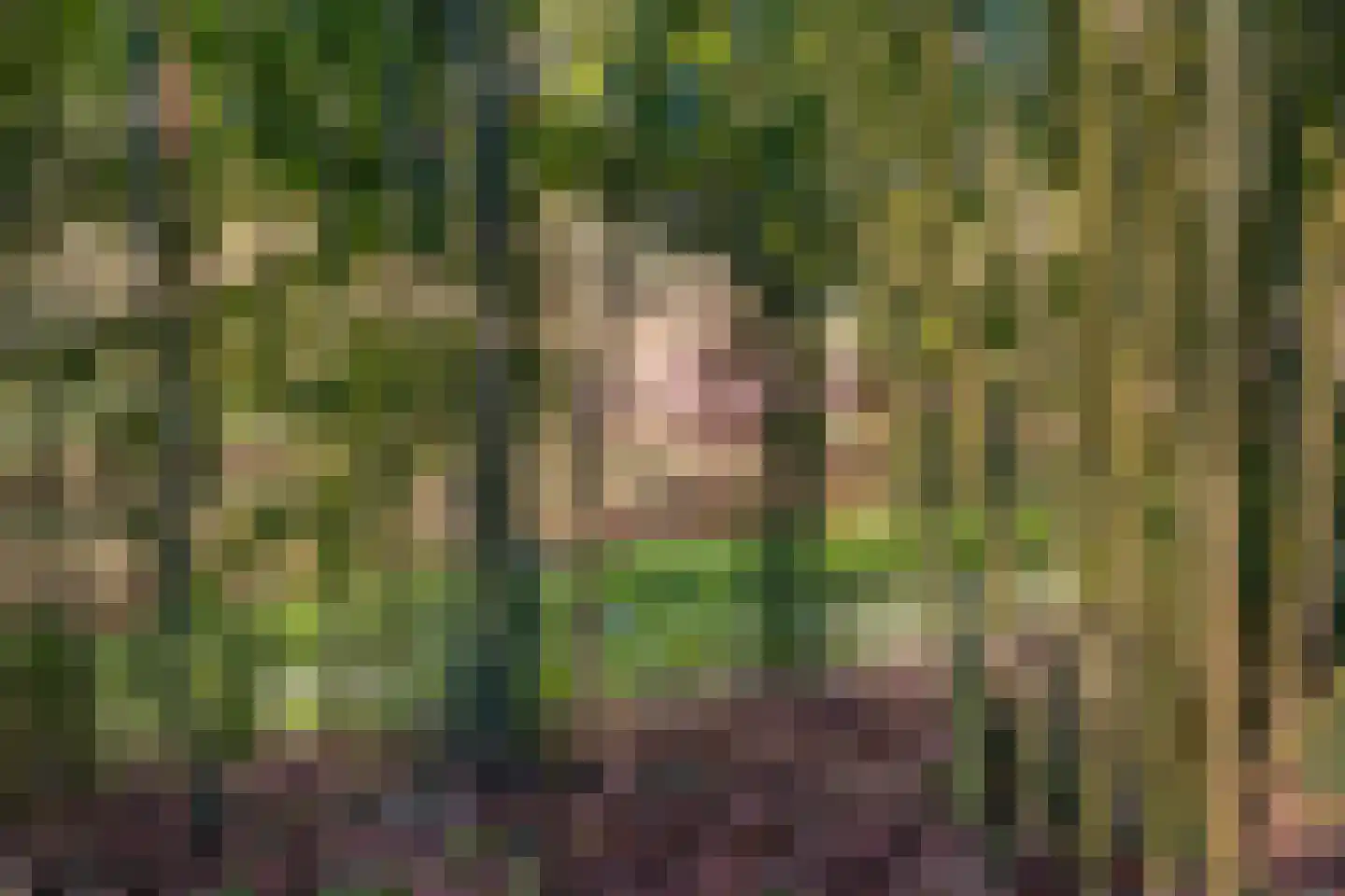Hoofdweg 107 Coevorden thumbnail 95