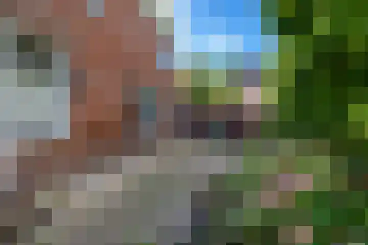 Hoofdweg 107 Midwolda thumbnail 30