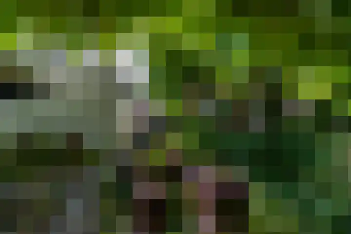 Hoofdweg 107 Midwolda thumbnail 32