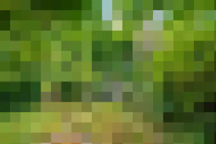Hoofdweg 107 Midwolda thumbnail 35