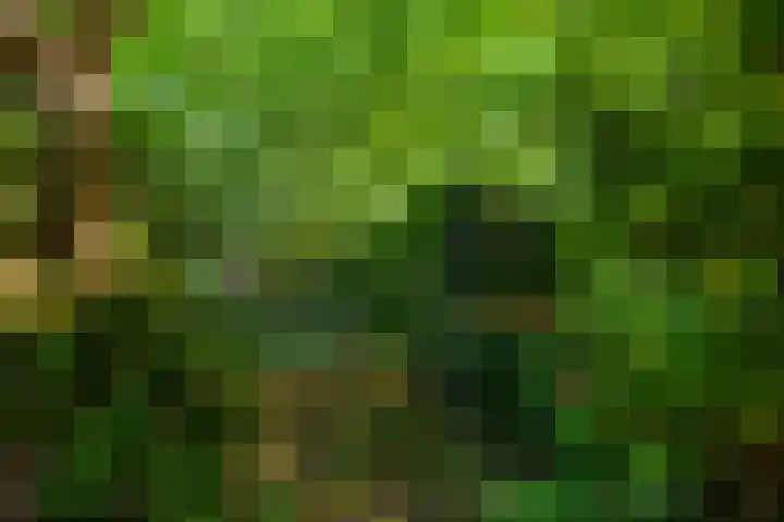 Hoofdweg 107 Midwolda thumbnail 36