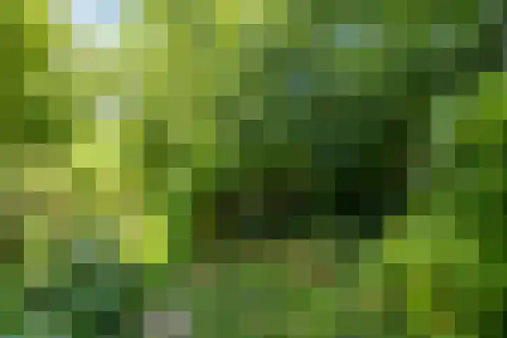 Hoofdweg 107 Midwolda thumbnail 37