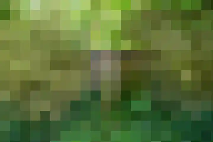 Hoofdweg 107 Midwolda thumbnail 38