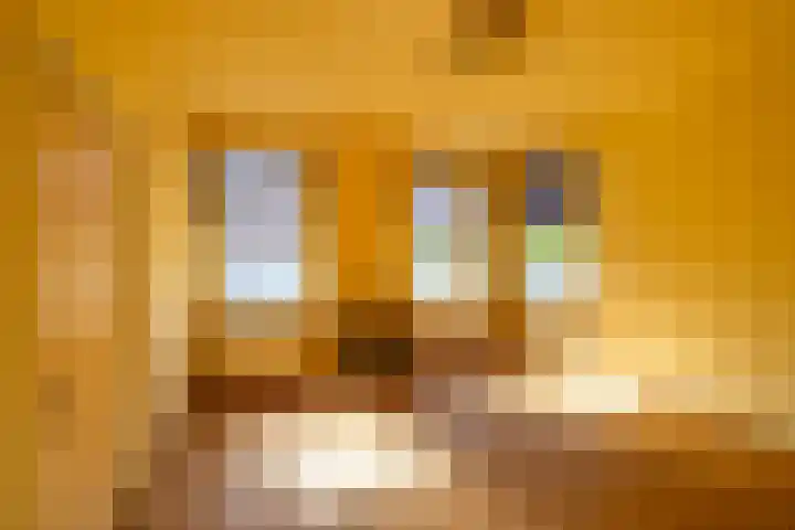 Hoofdweg 107 Midwolda thumbnail 8