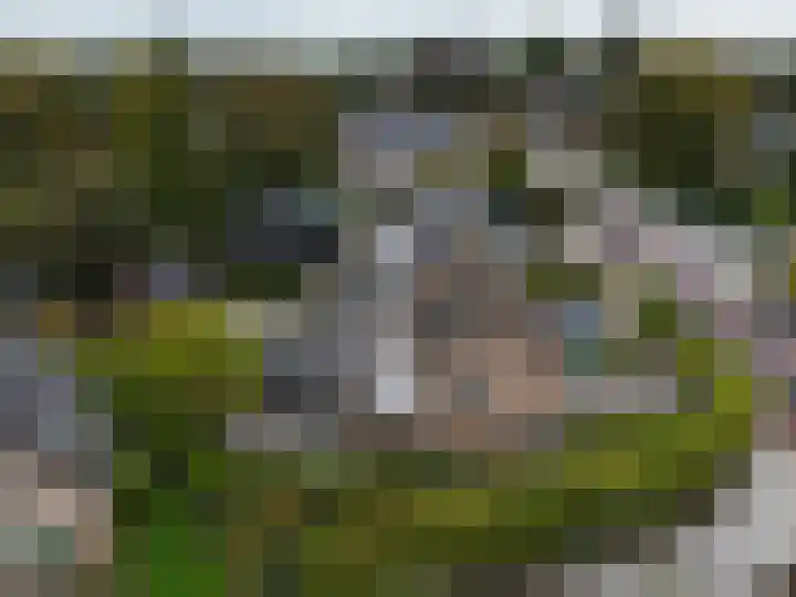 Hoofdweg 108 Eelde thumbnail 54