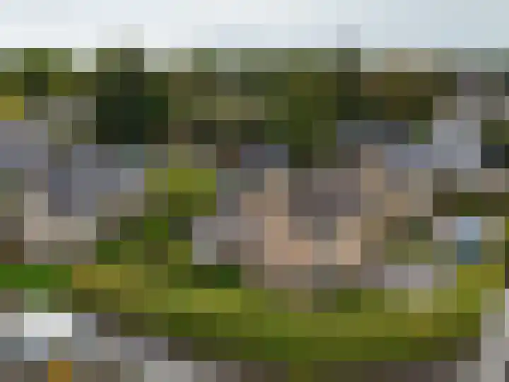 Hoofdweg 108 Eelde thumbnail 55