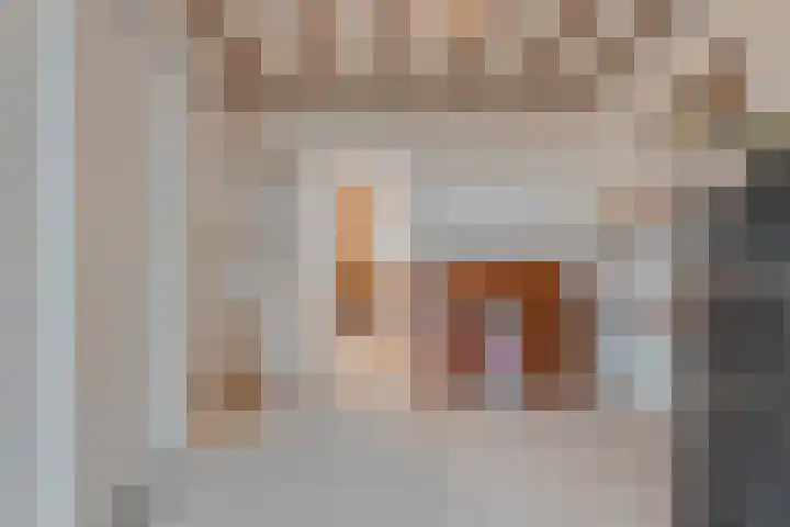 Hoofdweg 109 De Krim thumbnail 30