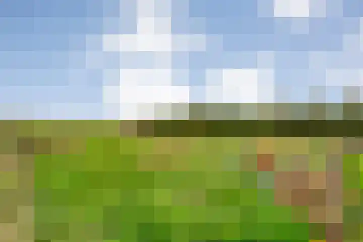 Hoofdweg 109 De Krim thumbnail 45