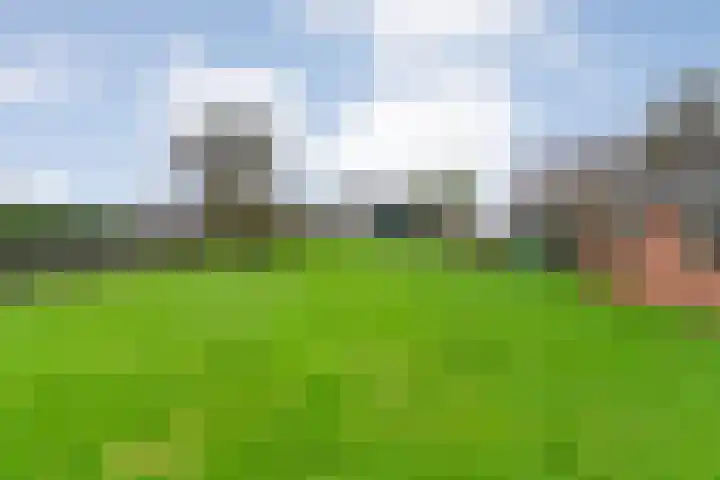Hoofdweg 109 De Krim thumbnail 47