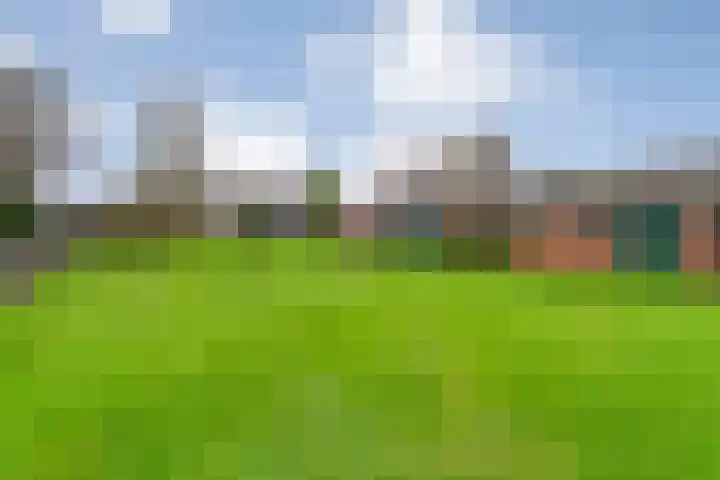 Hoofdweg 109 De Krim thumbnail 48