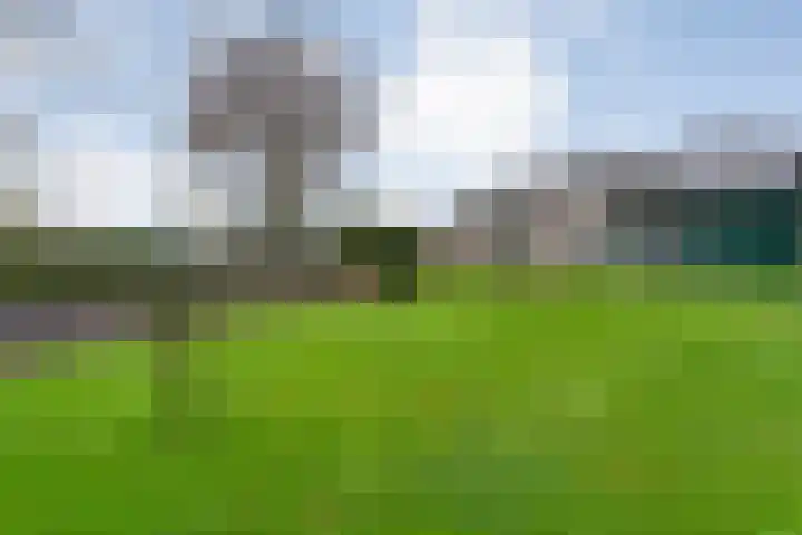Hoofdweg 109 De Krim thumbnail 51