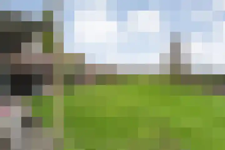 Hoofdweg 109 De Krim thumbnail 54