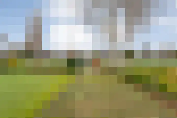 Hoofdweg 109 De Krim thumbnail 6