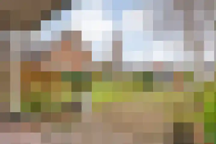 Hoofdweg 109 De Krim thumbnail 7