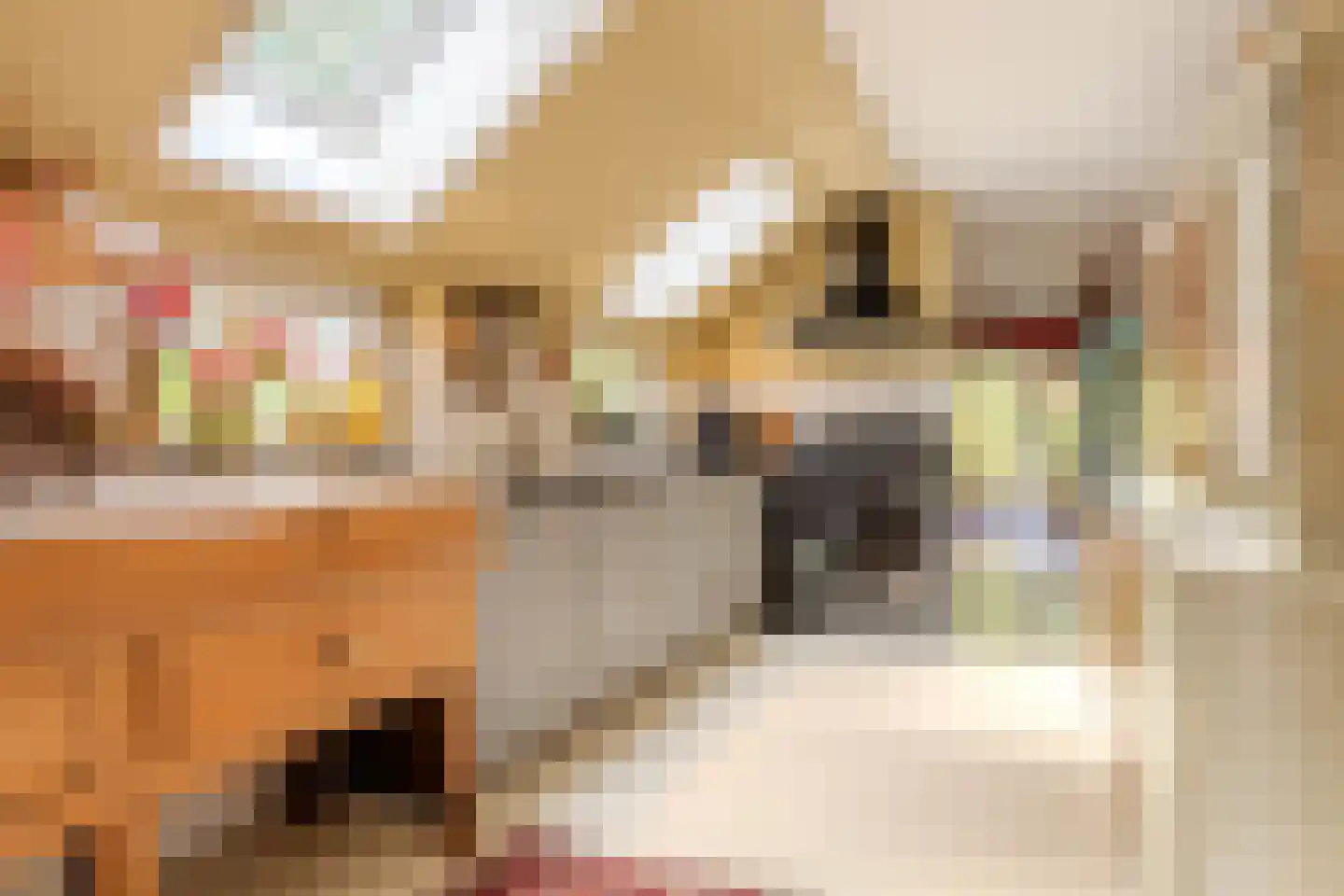 Hoofdweg 11 Froombosch thumbnail 13