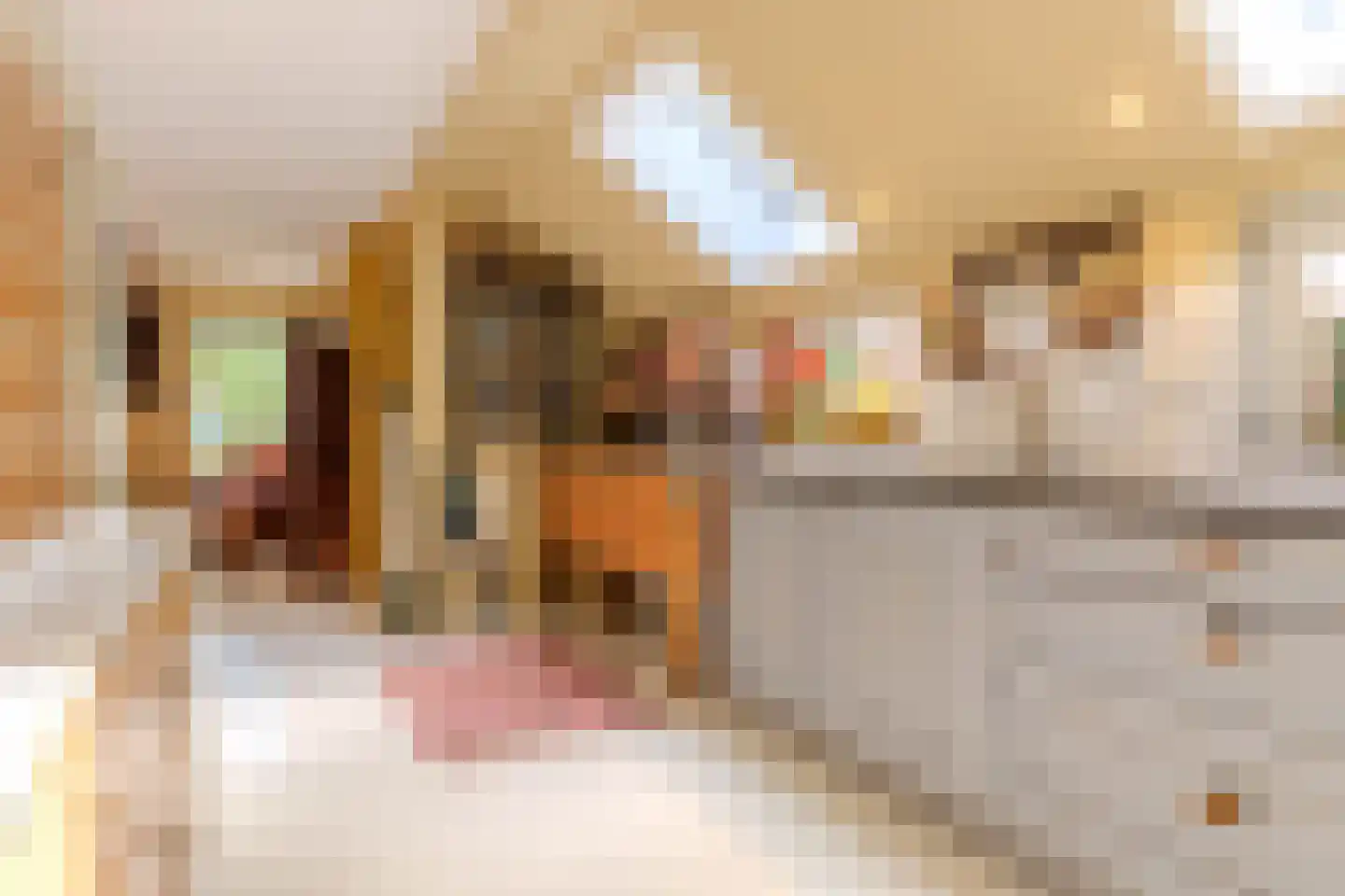 Hoofdweg 11 Froombosch thumbnail 14