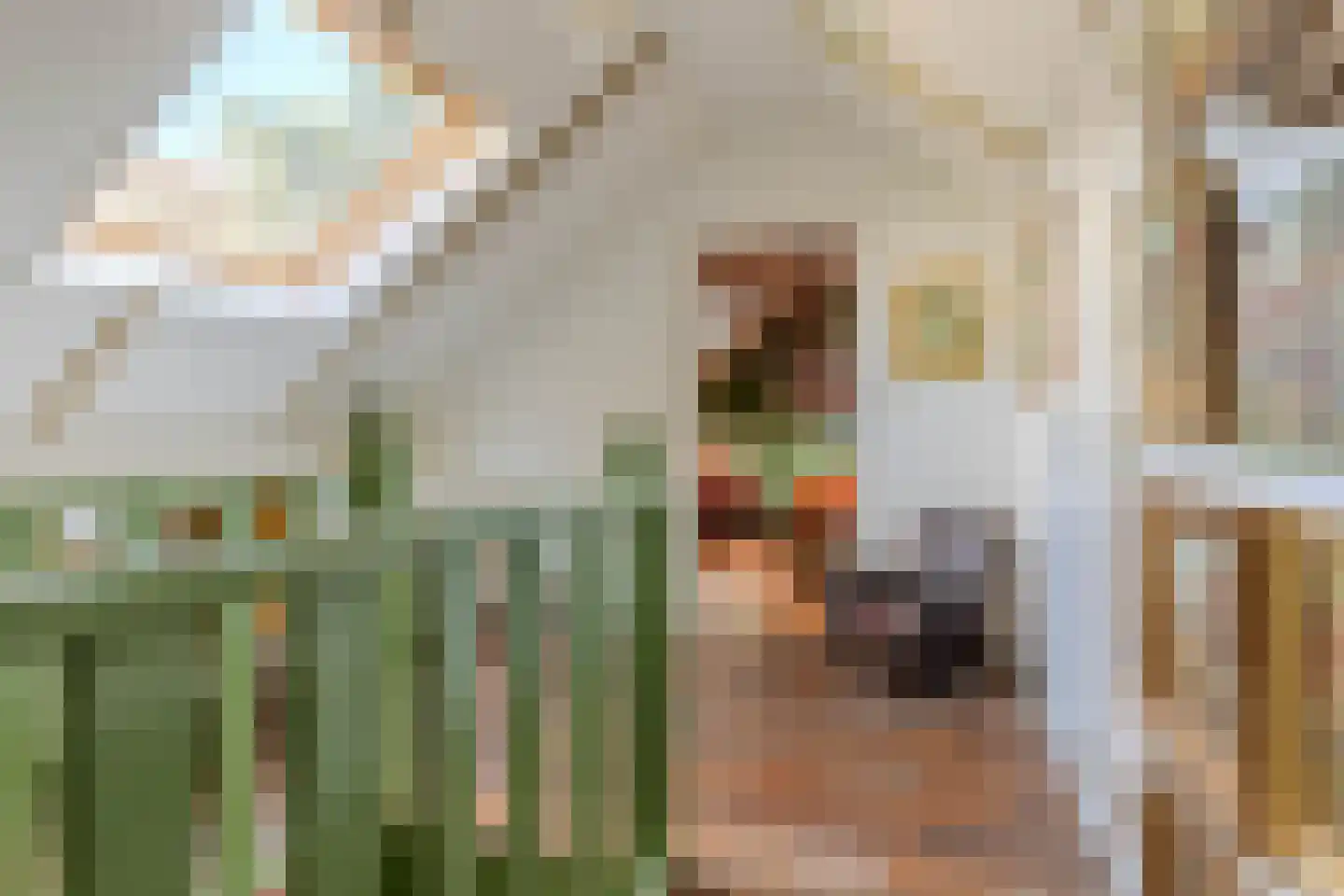 Hoofdweg 11 Froombosch thumbnail 27