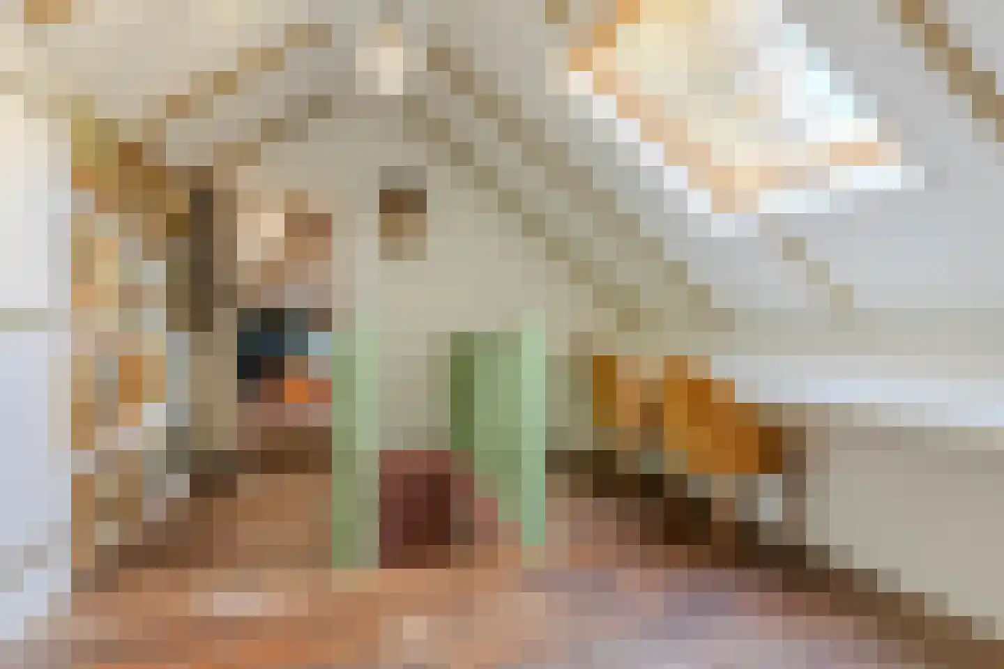 Hoofdweg 11 Froombosch thumbnail 28