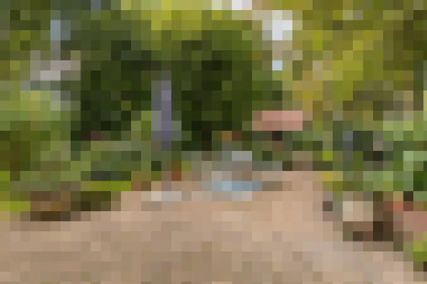Hoofdweg 11 Froombosch thumbnail 34