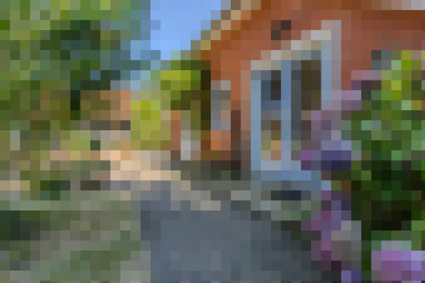 Hoofdweg 11 Froombosch thumbnail 34