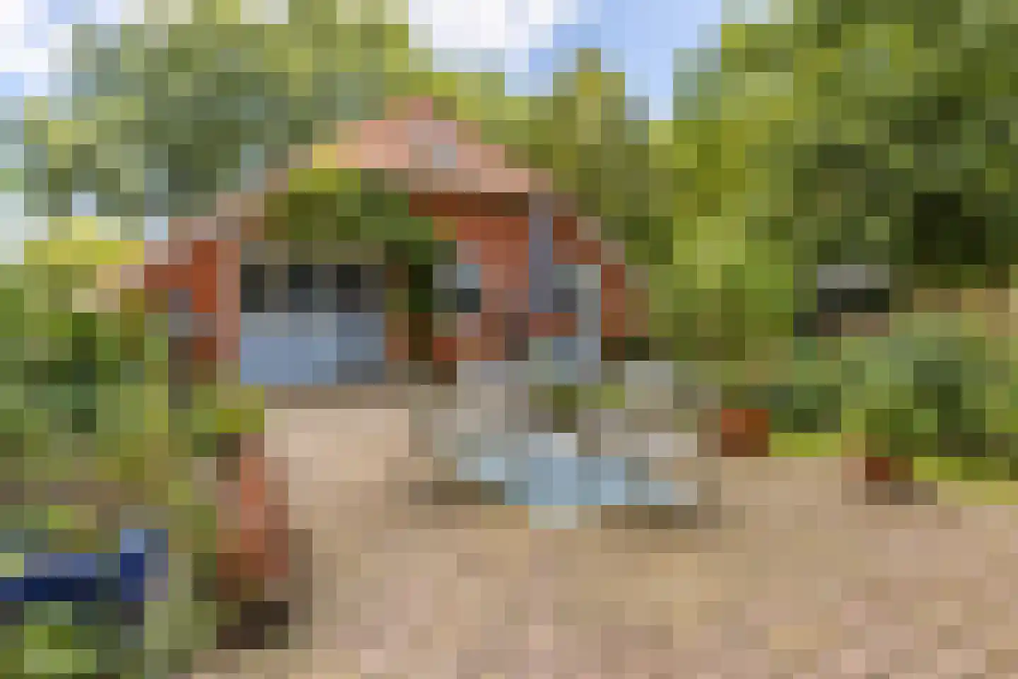 Hoofdweg 11 Froombosch thumbnail 35
