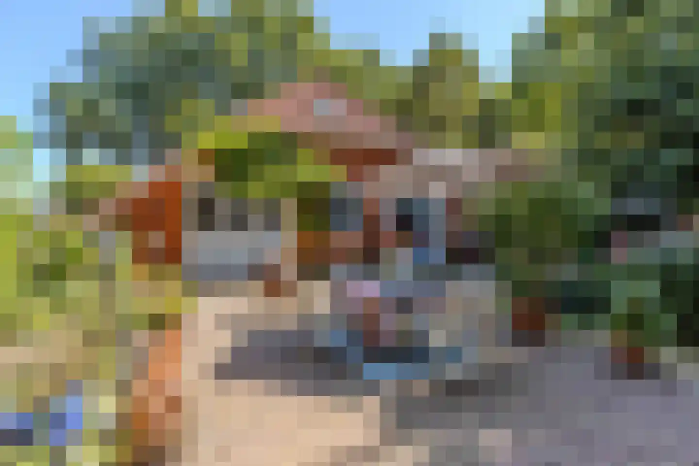 Hoofdweg 11 Froombosch thumbnail 35
