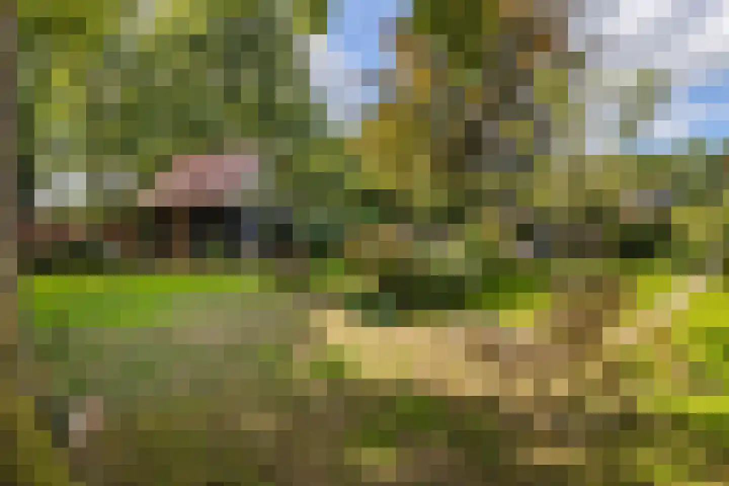 Hoofdweg 11 Froombosch thumbnail 36