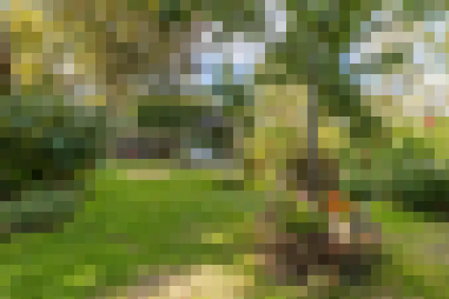 Hoofdweg 11 Froombosch thumbnail 37
