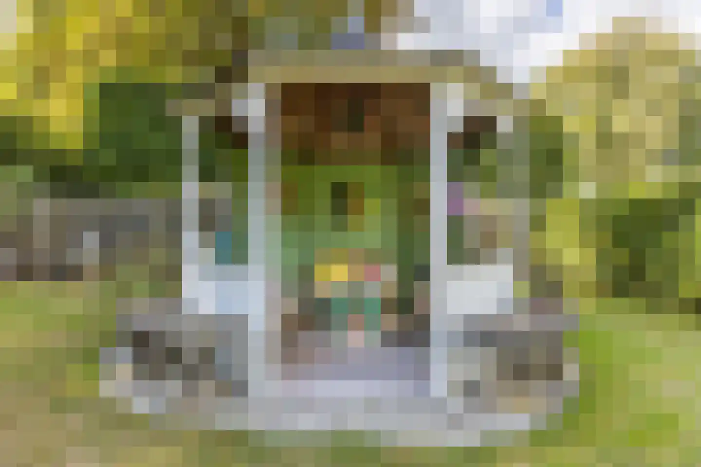 Hoofdweg 11 Froombosch thumbnail 38