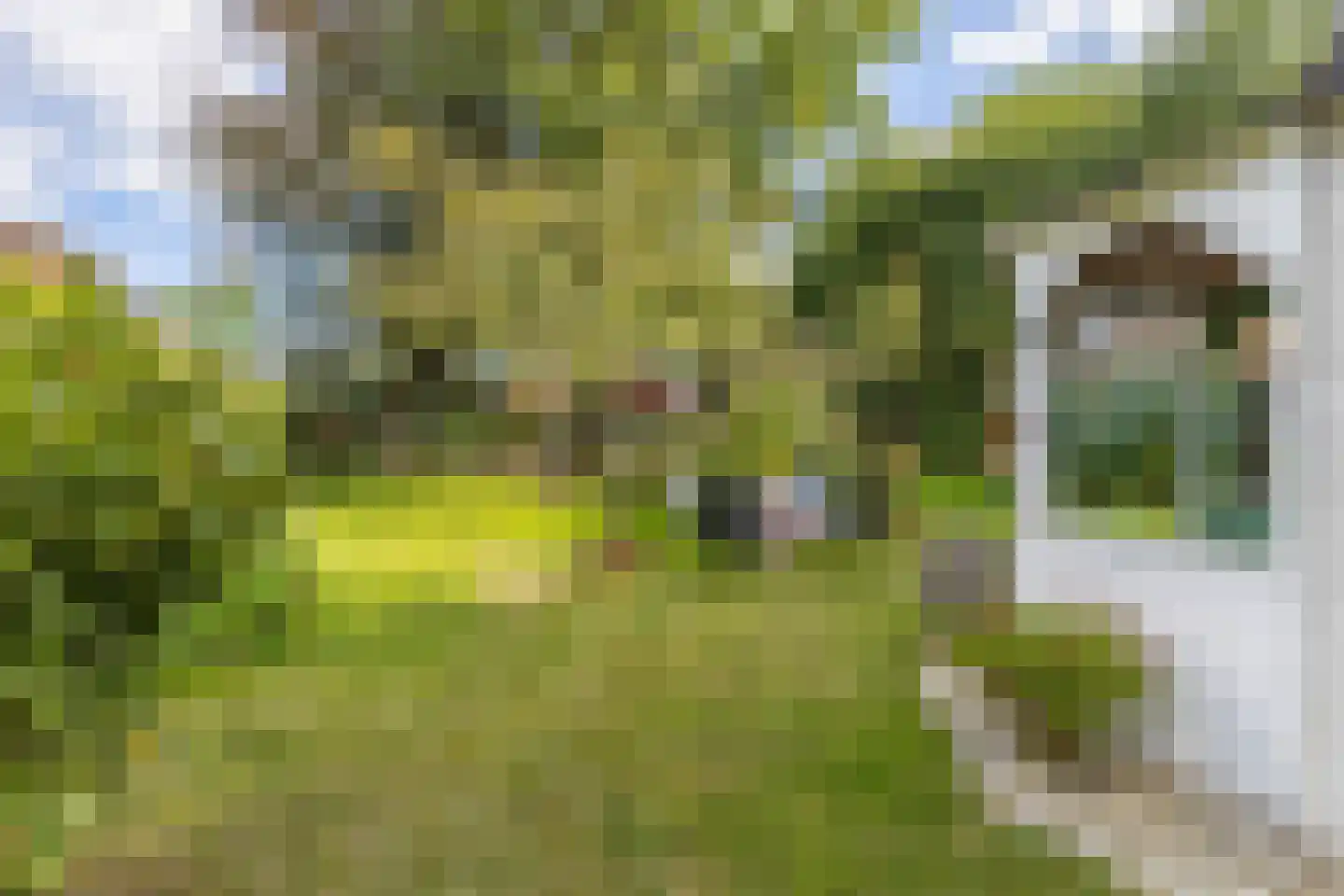 Hoofdweg 11 Froombosch thumbnail 39