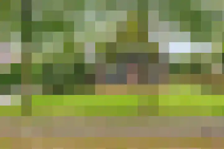 Hoofdweg 11 Hitzum thumbnail 4