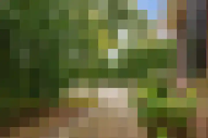 Hoofdweg 11 Hitzum thumbnail 6