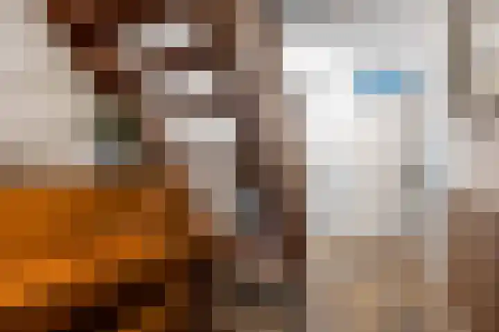 Hoofdweg 11 Hitzum thumbnail 16