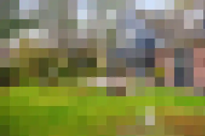 Hoofdweg 11 Hitzum thumbnail 15