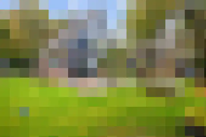 Hoofdweg 11 Hitzum thumbnail 42