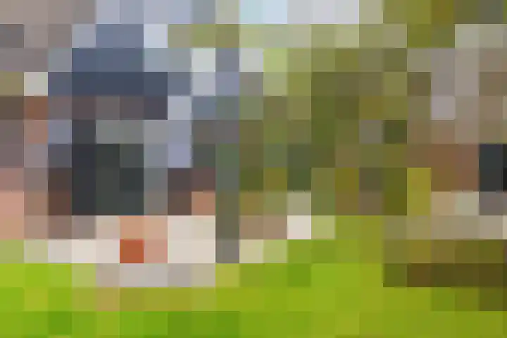 Hoofdweg 11 Hitzum thumbnail 43