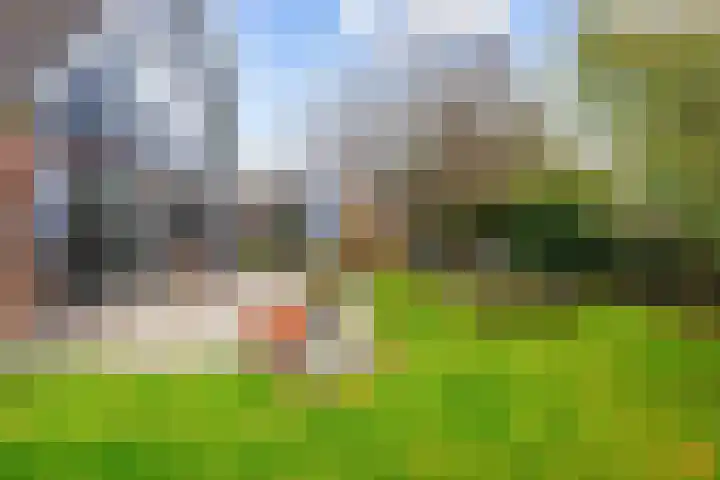 Hoofdweg 11 Hitzum thumbnail 44