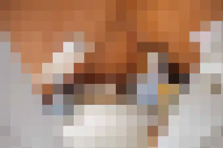 Hoofdweg 11 Hitzum thumbnail 60