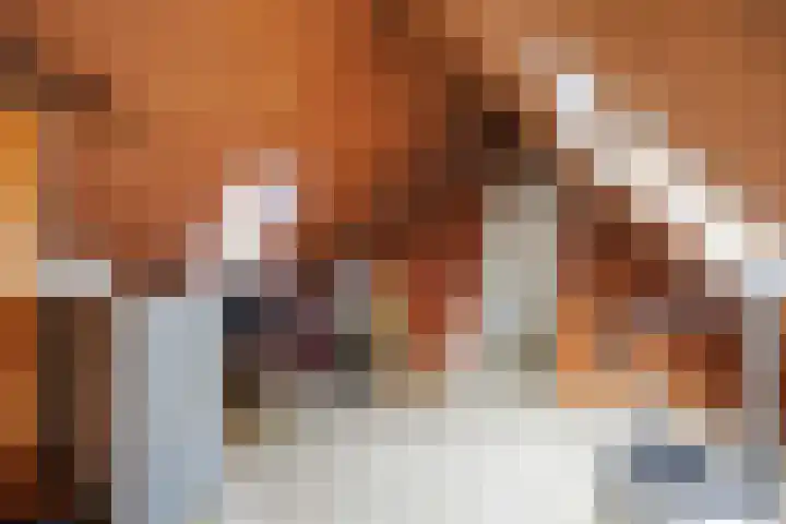 Hoofdweg 11 Hitzum thumbnail 61