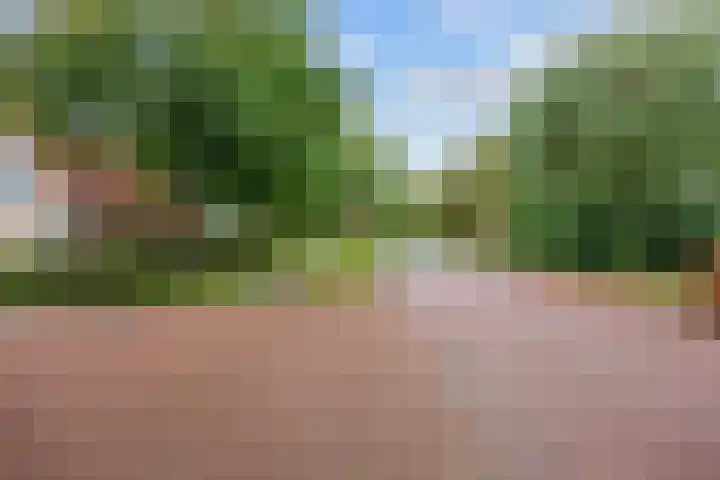 Hoofdweg 11 Hitzum thumbnail 62