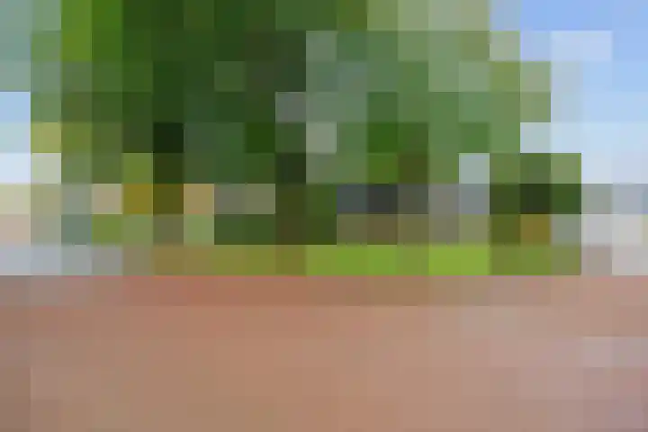 Hoofdweg 11 Hitzum thumbnail 63