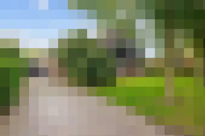 Hoofdweg 11 Hitzum thumbnail 64