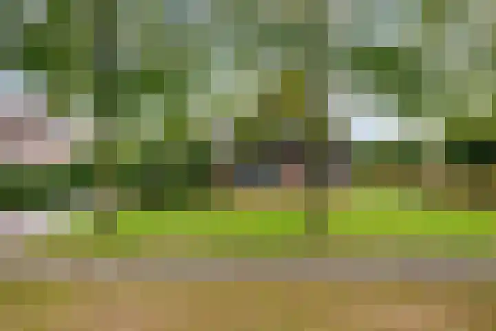 Hoofdweg 11 Hitzum thumbnail 65