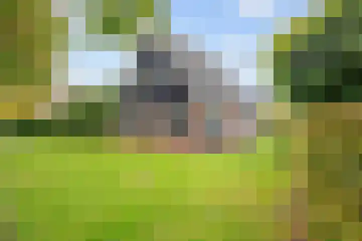 Hoofdweg 11 Hitzum thumbnail 66
