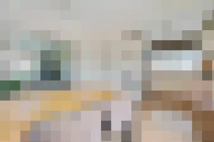 Hoofdweg 11 Nijensleek thumbnail 10